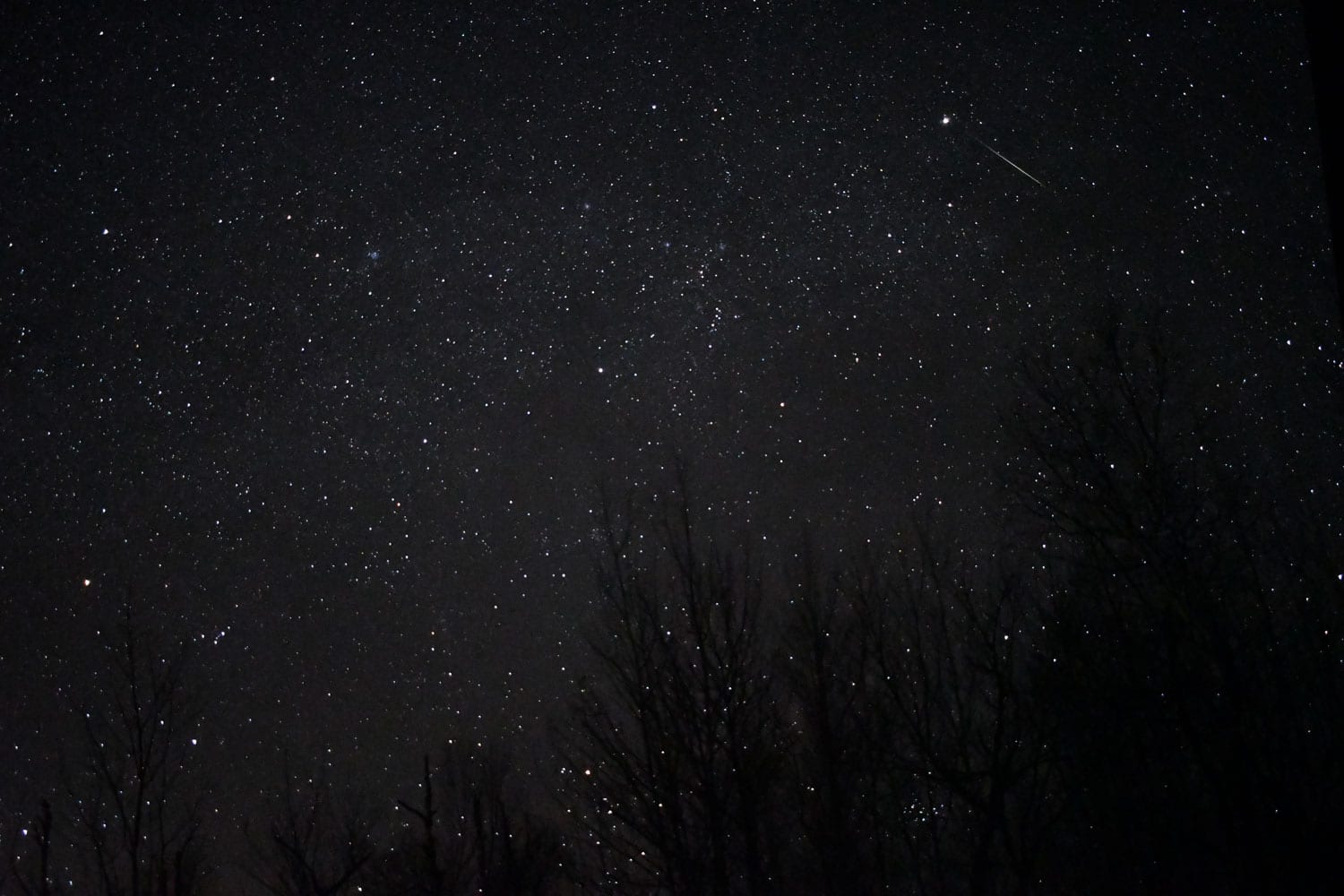 The meteorites